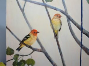 western tanager pair