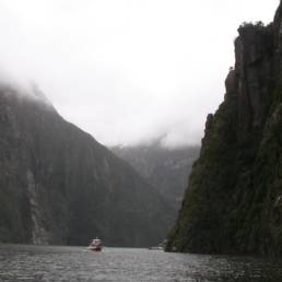 boating on milford sound fjord-land new zealand