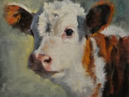 Calf oil painting