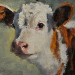 Calf oil painting