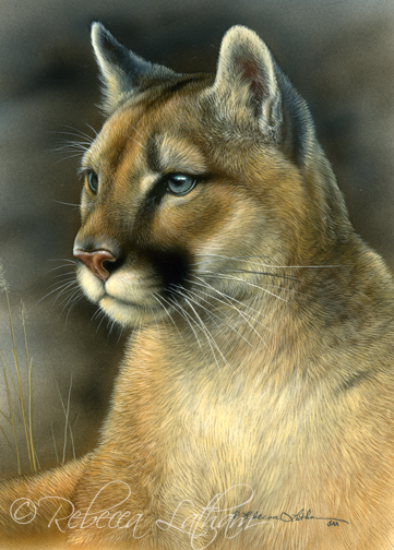 mountain lion cougar oil painting