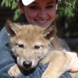 woman holding wolf pup