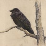 raven bird art pencil drawing