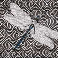dragonfly_drawing
