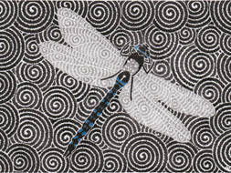 dragonfly_drawing