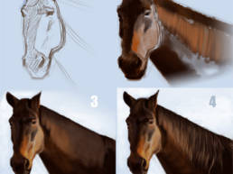 digital sketching horse