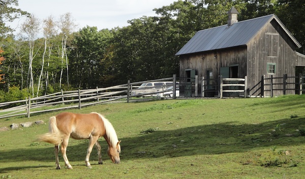 Maine horse barn