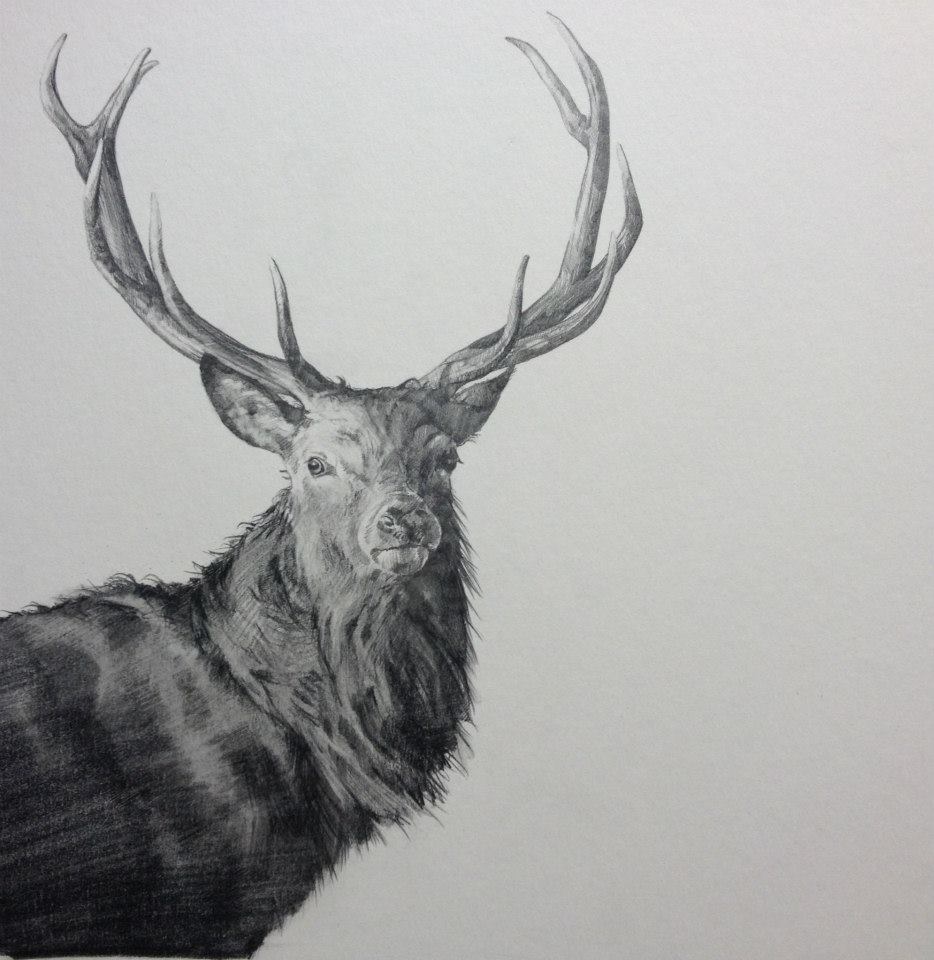 how to paint an awesome deer 