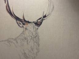 How to paint an awesome deer