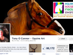 How This Artist Earned Nearly 100,000 Facebook Page Fans