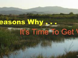 12 Reasons Why It's Time To Get Visual