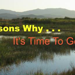 12 Reasons Why It's Time To Get Visual