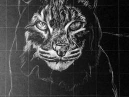 Charcoal Drawing Using The Grid Method