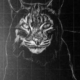 Charcoal Drawing Using The Grid Method