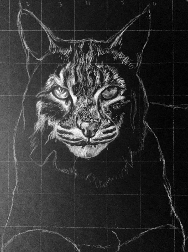 Charcoal Drawing Using The Grid Method