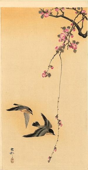 Ohara Koson swallows and cherry blossoms