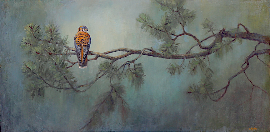American kestrel, oil painting, lori mcnee, bird art