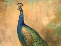 peacock oil painting