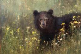summer black bear